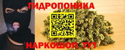 прущие крисы Свободный