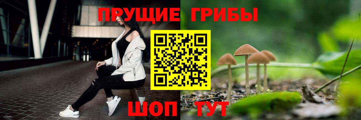 Псилоцибиновые грибы Psilocybine cubensis Новодвинск