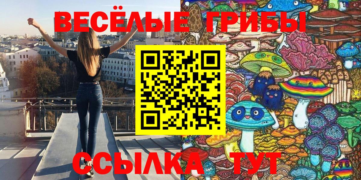 Новодвинск  Псилоцибиновые грибы мухоморы  Псилоцибиновые грибы мицелий  Вход с VPN 