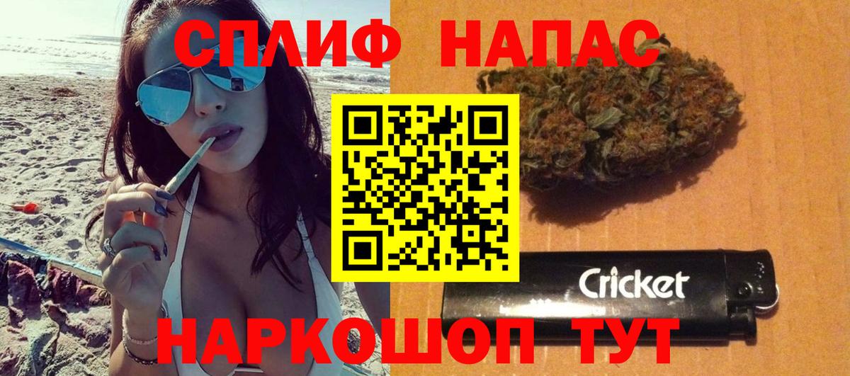 Конопля сатива Новодвинск